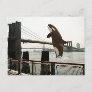 Sauter la carte postale du pont Brooklyn