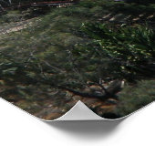 Sauteurs de poster Rainbow Bay Australie (Coin)