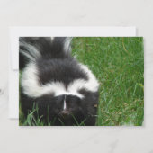 Sauts sur invitation (Devant)