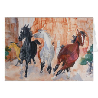 Sauvage dans les canyons