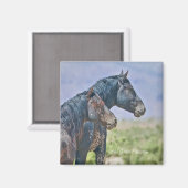 Sauvage et libre, Magnet (Recto/Verso)