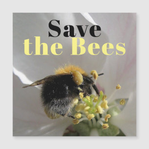 Sauvegarder les abeilles Bumble Bee Photo Carte ma