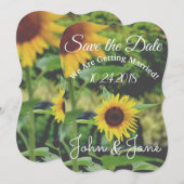Sauver la Date Invitation de Mariage Tournesol (Devant / Derrière)