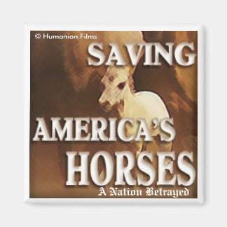 Sauver les chevaux américains - Magnet