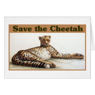 Sauvez le Cheetah