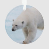 Sauvez les ours polaires (dos)