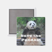 Sauvez les pandas géants Magnet (Recto/Verso)