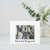 Sauvez les pingouins ! Carte postale (Debout devant)