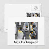 Sauvez les pingouins ! Carte postale (Devant / Derrière)