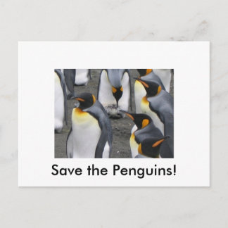 Sauvez les pingouins ! Carte postale