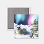 Sauvez Nos Phoques ! Magnets du phoque à harpe (Recto/Verso)