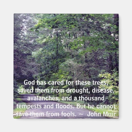 Sauvez-nous des imbéciles - aimant (Devant)