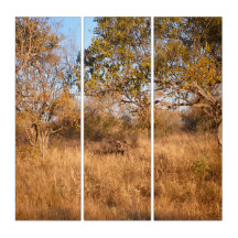 Savane Surréaliste – Art Mural de Faune