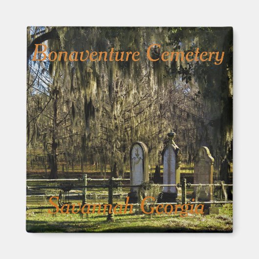 Savannah Bonaventure magnet (Devant)