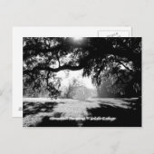 Savannah Briefkaart (Voorkant / Achterkant)