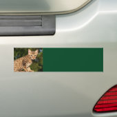 Savannah Cat Background Bumpersticker (Op auto)