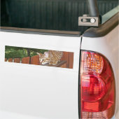 Savannah Cat Background Bumpersticker (Op Truck)