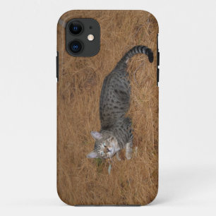 Savannah Cat iPhone 5 11 Hoesje