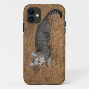 Savannah Cat iPhone 5 11 Hoesje