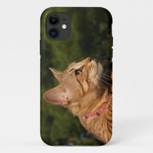 Savannah Cat iPhone 5 Custom Hoesje-Mate ID 11 Hoesje