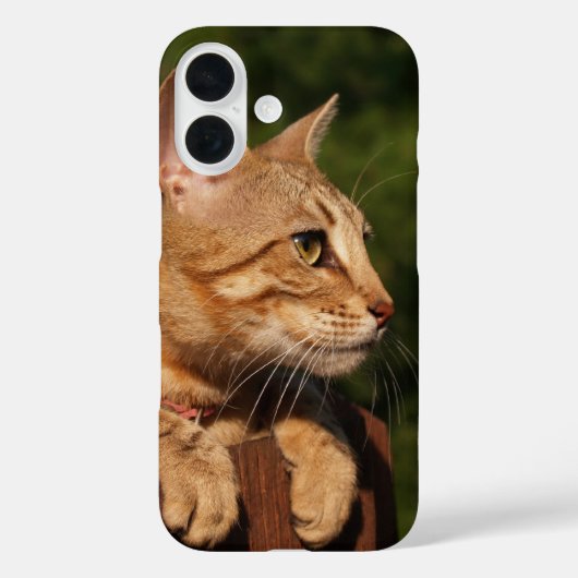 Savannah Cat iPhone case (Achterkant)