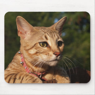 Savannah Cat Mousepad Muismat