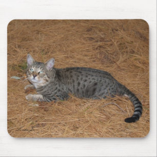 Savannah Cat Mousepad Muismat