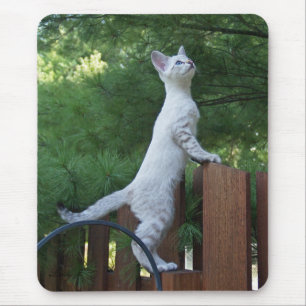 Savannah Cat Mousepad Muismat
