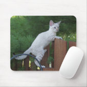 Savannah Cat Mousepad Muismat (Met muis)