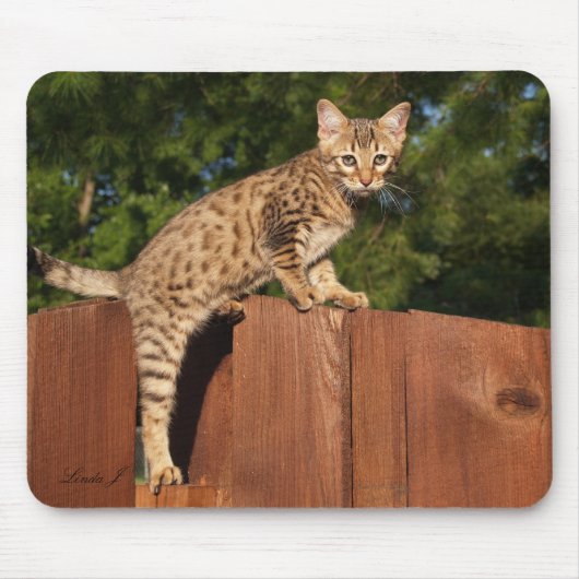Savannah Cat Mousepad Muismat (Voorkant)