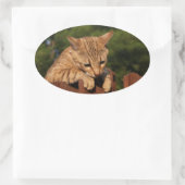 Savannah Cat Oval Sticker (Tas)