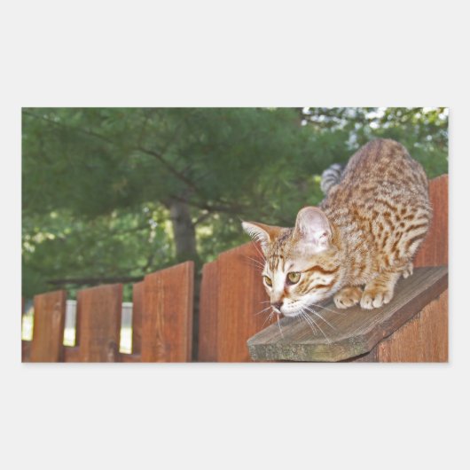 Savannah Cat Rectangle Sticker (Voorkant)