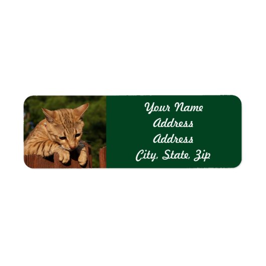 Savannah Cat Return Address Sticker (Voorkant)