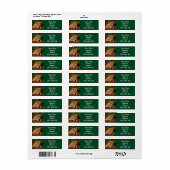 Savannah Cat Return Address Sticker (Full Sheet)