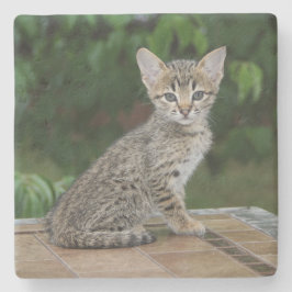 Savannah Cat Square Onderzetter