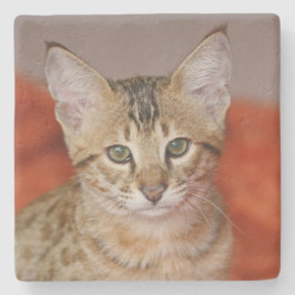 Savannah Cat Square Onderzetter