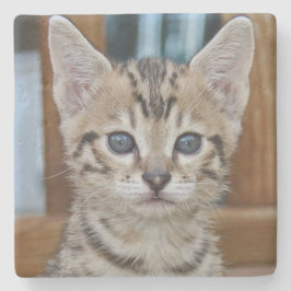 Savannah Cat Square Onderzetter