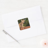 Savannah Cat Square Sticker (Envelop)