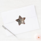 Savannah Cat Star Sticker (Envelop)