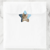 Savannah Cat Ster Sticker (Tas)