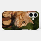 Savannah coque iphone (Verso (horizontal))