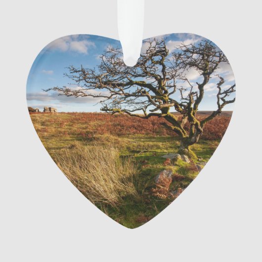 Savannah du désert Photo personnalisée (devant)