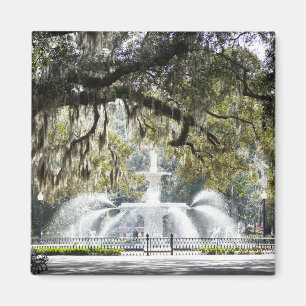 Savannah Forsyth Fountain Magnet Magneet