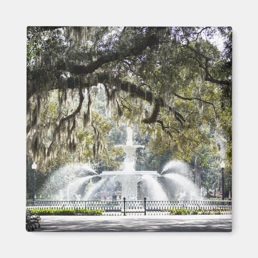 Savannah Forsyth Fountain Magnet Magneet (Voorkant)