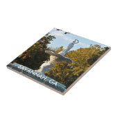 Savannah GA Georgia | Fountain Forsyth Park Tegeltje (Zijkant)