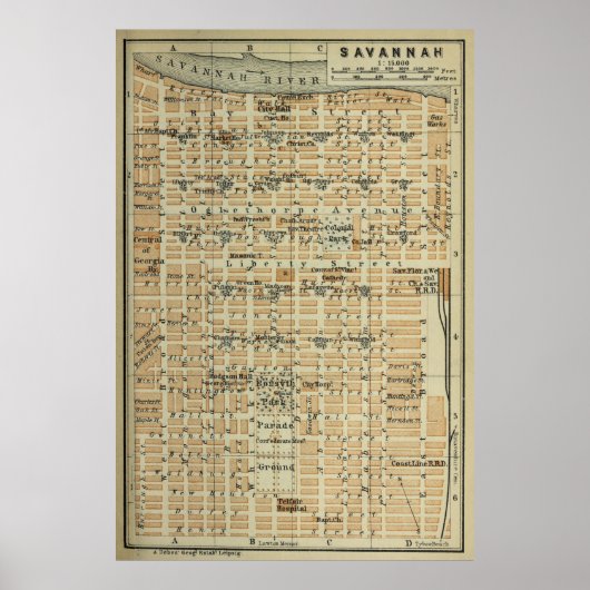 Savannah GA-kaart (1904) Poster (Voorkant)