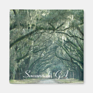 Savannah, GA Magnet Magneet