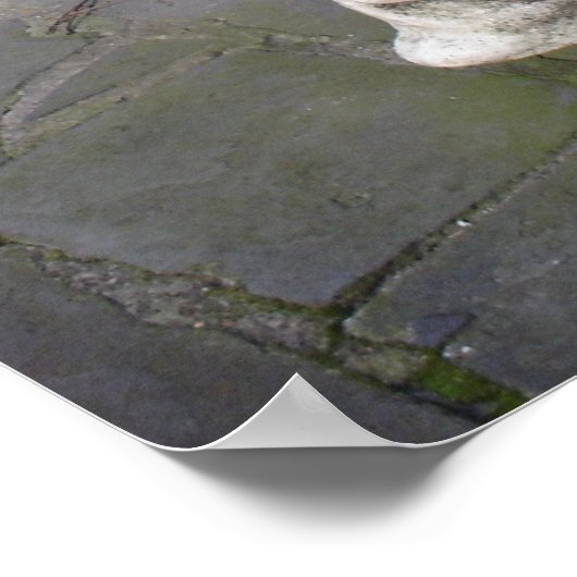 Savannah Gargoyle Framed Print (Hoek)