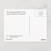 Savannah Gargoyle Post Card Briefkaart (Achterkant)