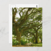 Savannah Georgia Briefkaart (Voorkant / Achterkant)